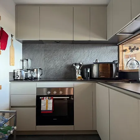 Luxury Duplex ,swiss Alps * 크란스몬타나